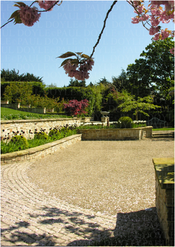 Violet Hill Garden